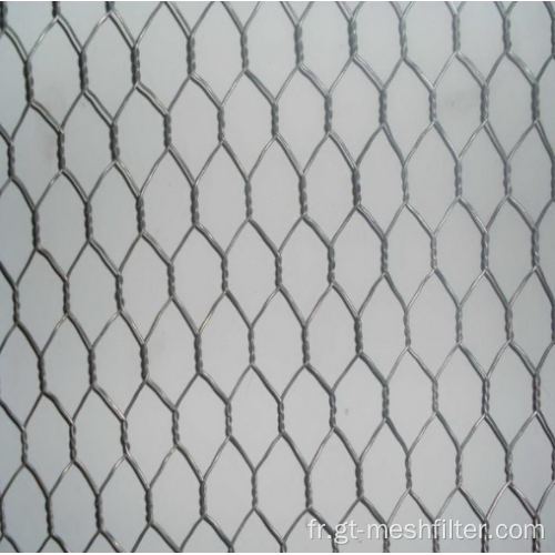 Mesh de protection contre le filet de fil hexagonal